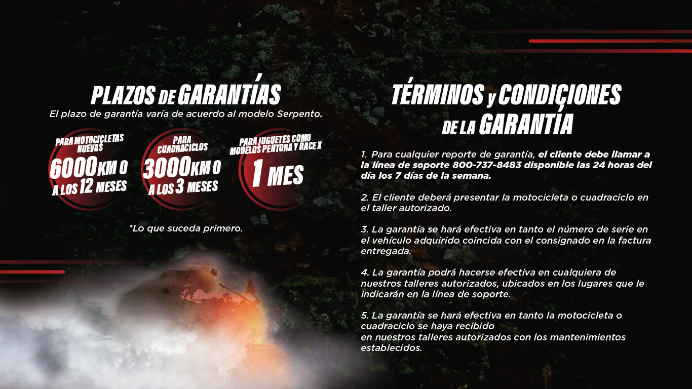 Intro_Serpento_Web_2