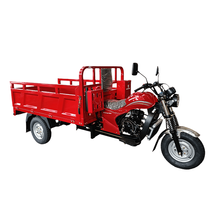 S-Cargo250 (1)